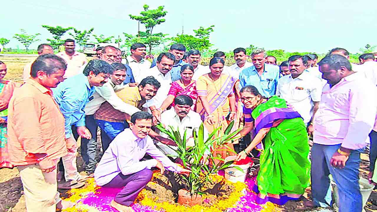 ఆయిల్‌పామ్‌ సాగు లాభదాయకం