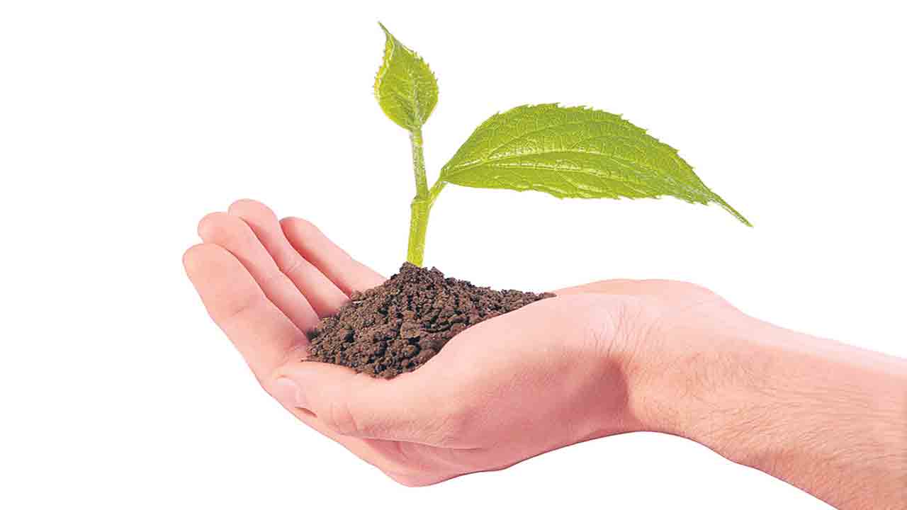 మొక్కవోని దీక్ష