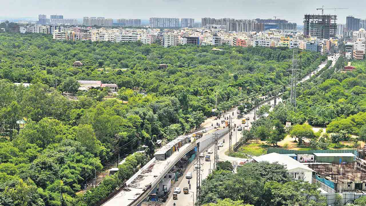 హరిత భాగ్యనగరి.. 147 శాతం పెరిగిన పచ్చదనం