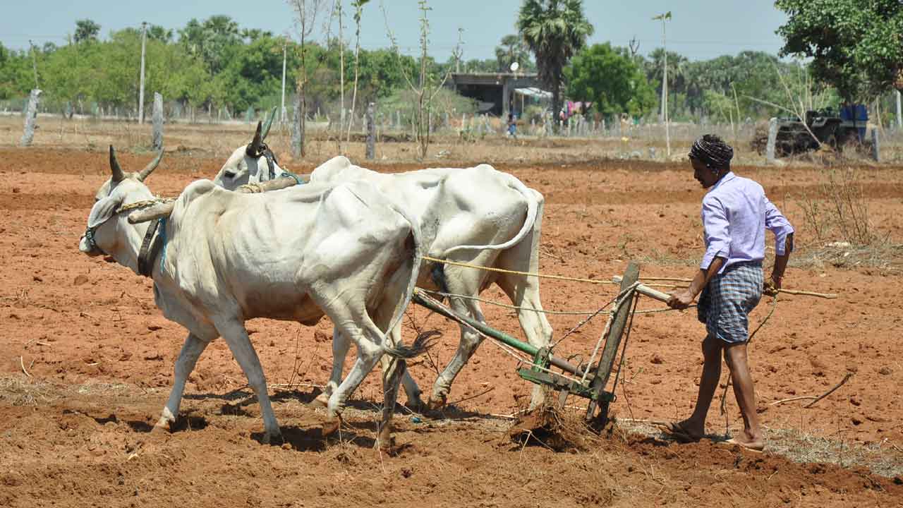 కొత్తగా 16వేల మందికి రైతు బీమా
