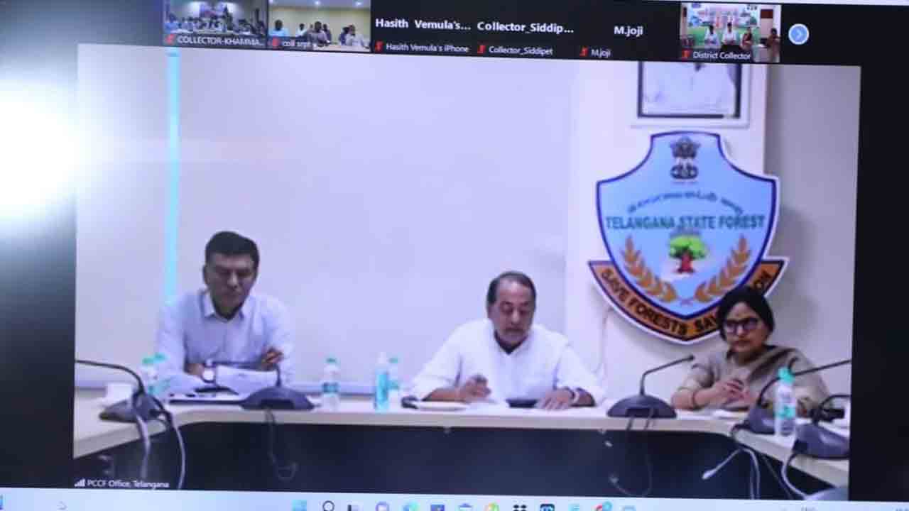 21న మెగా హరితహారం