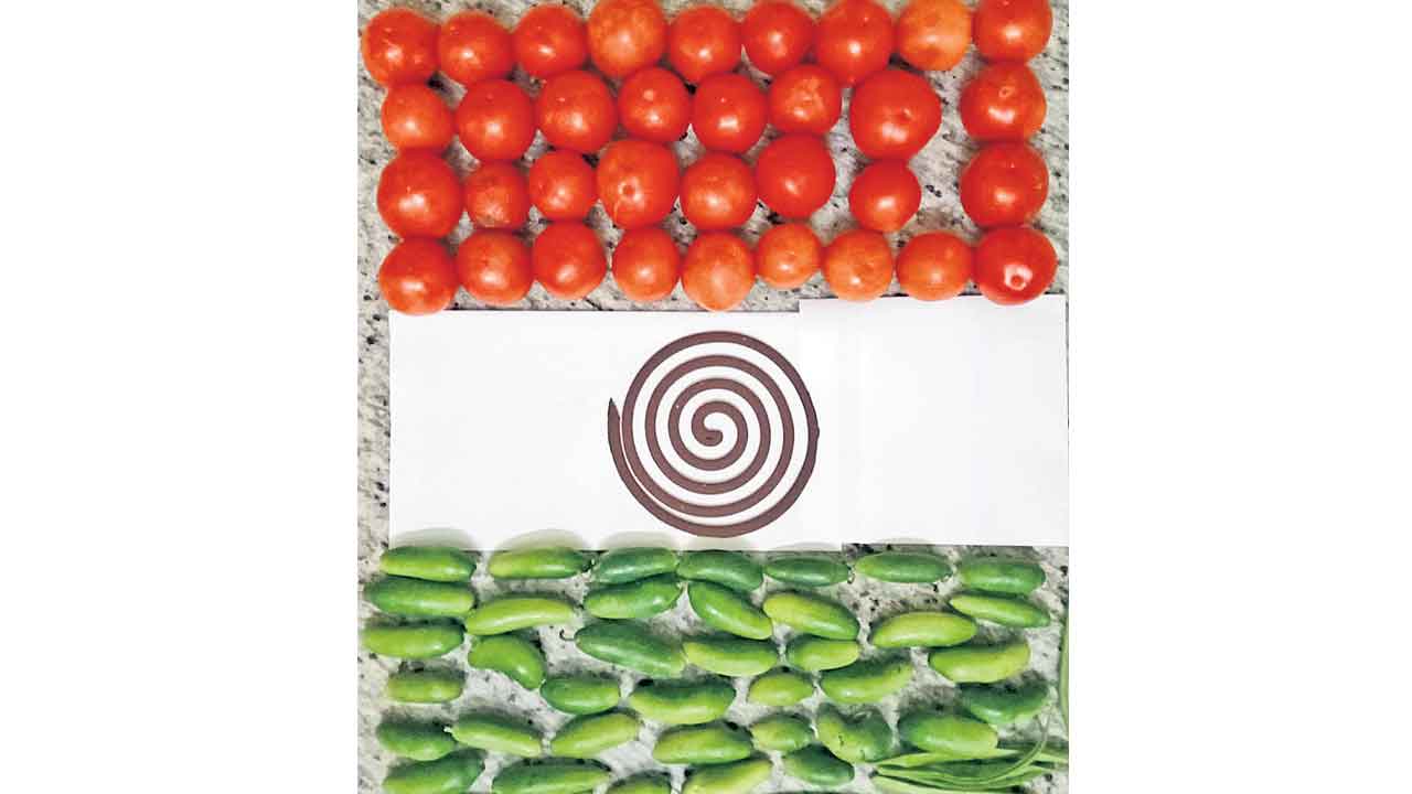 తివర్ణం..అభిమాన