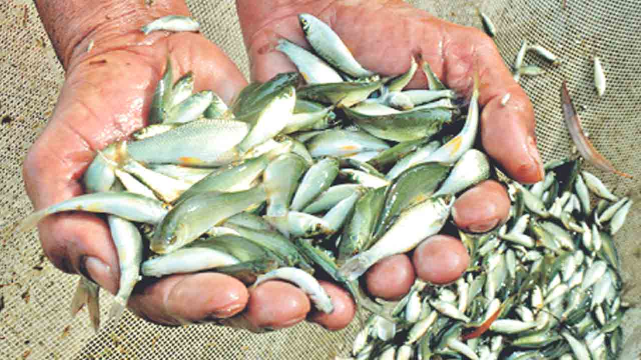 మత్స్యకారుల హర్షం