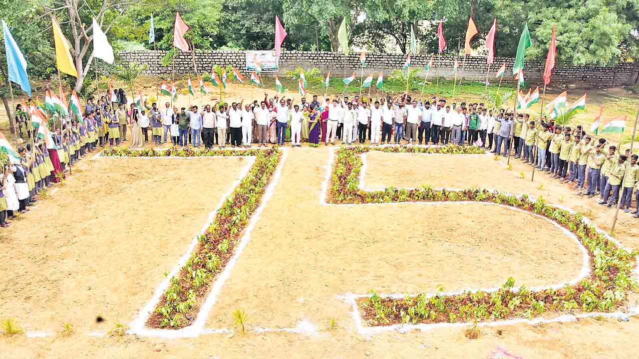 ఉత్సాహంగా మొక్కల పండుగ