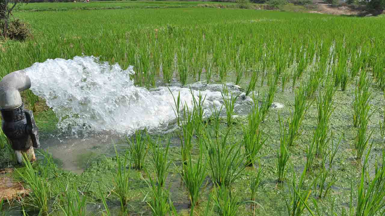 పుల్ వానలు మీటరులోపే నీళ్లు