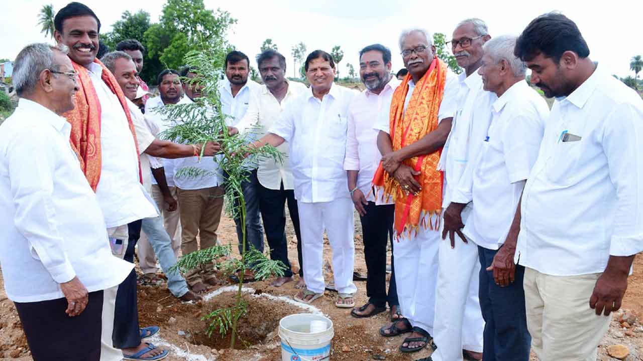 వజ్రోత్సవాలకు వనహారతి