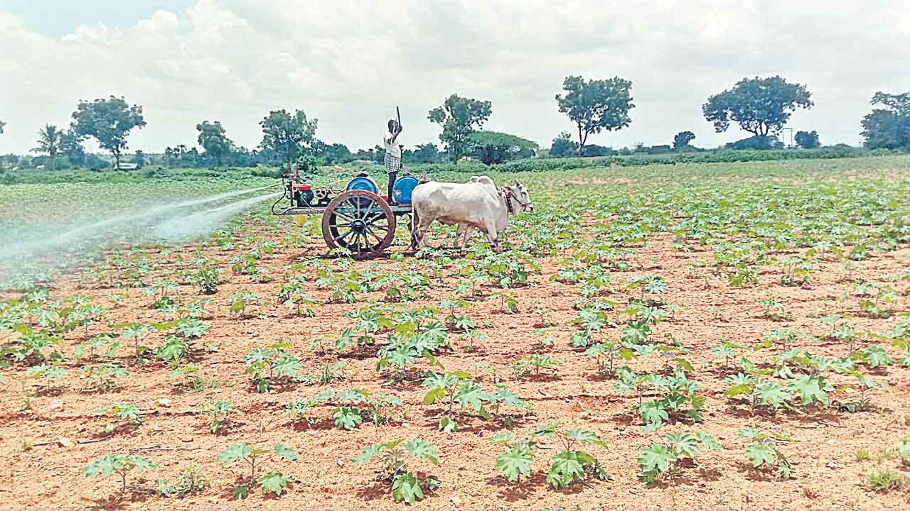 రైతన్న.. ఐడియా అదరహో!