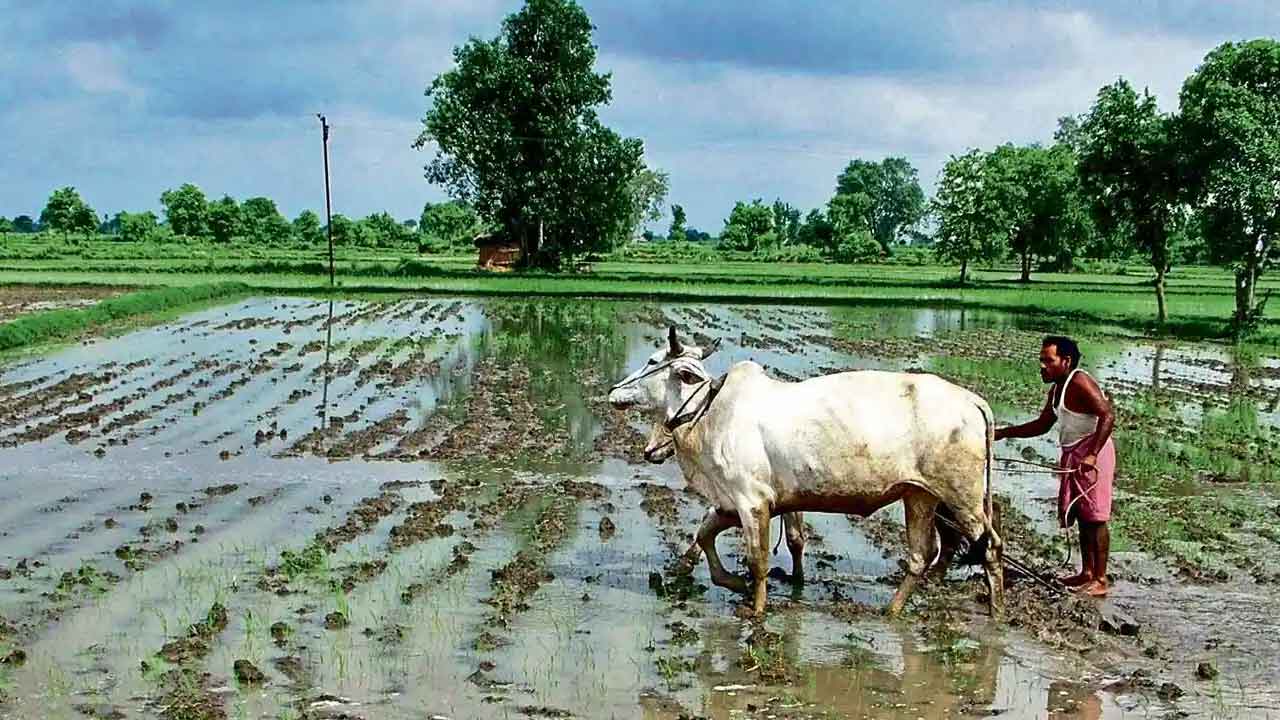 కోటి ఎకరాలు దాటిన సాగు