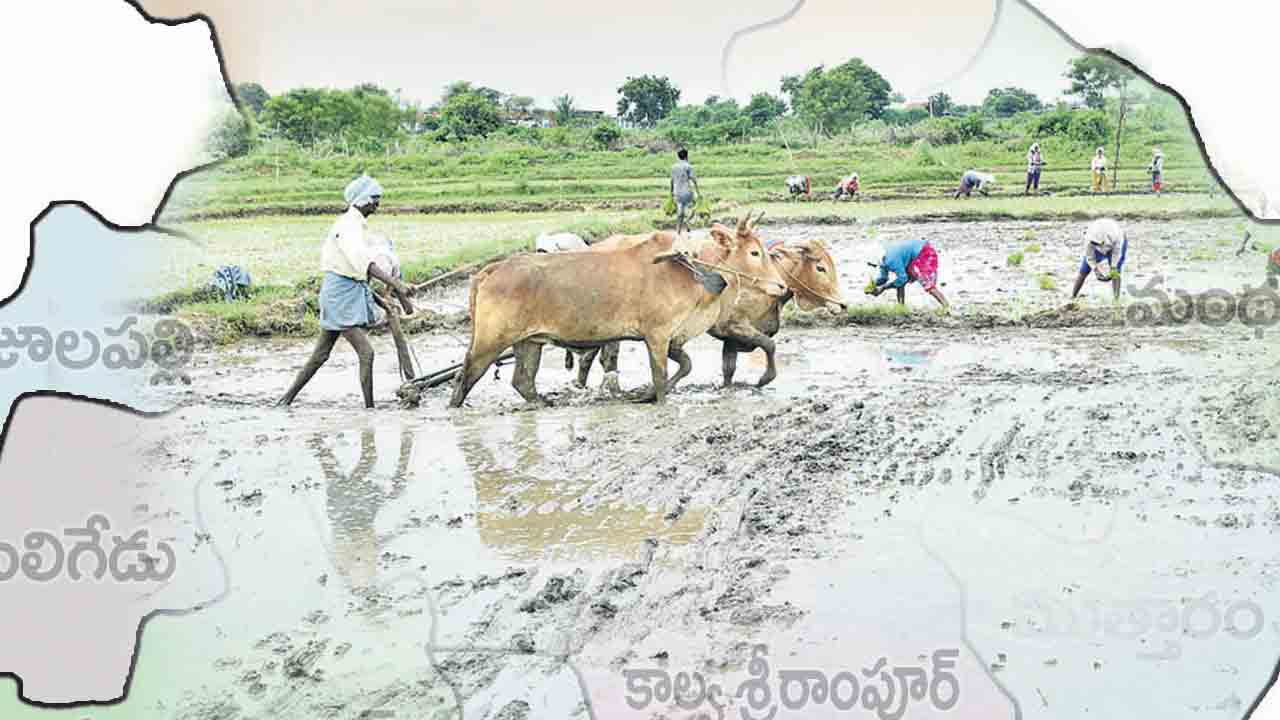 సాగులో అ‘ద్వితీయం’