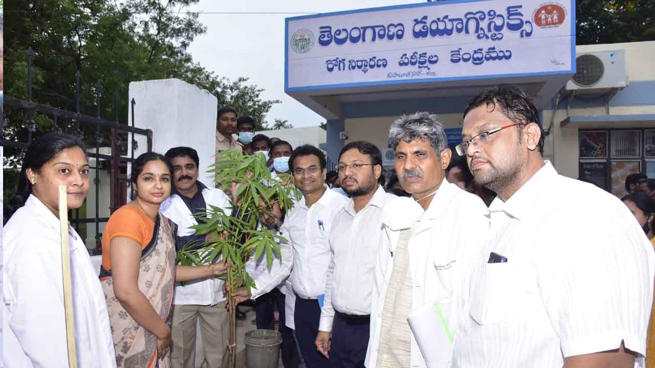 రక్త నమూనాలు సేకరించాలి