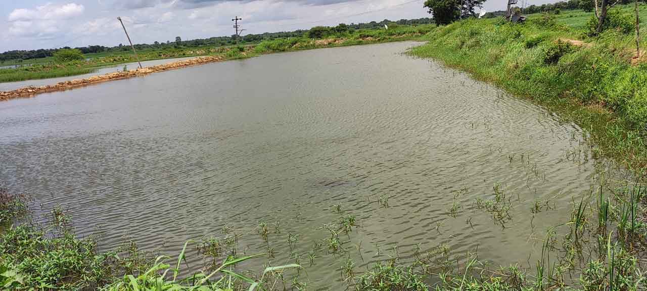 చేపల చెరువులు..మస్త్‌ పైసలు..