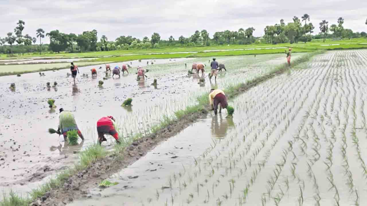 వలసల వెల్లువ