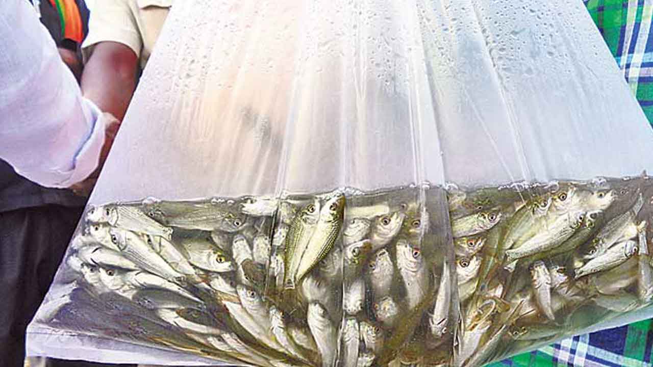 మత్స్యసాగుకు రెడీ