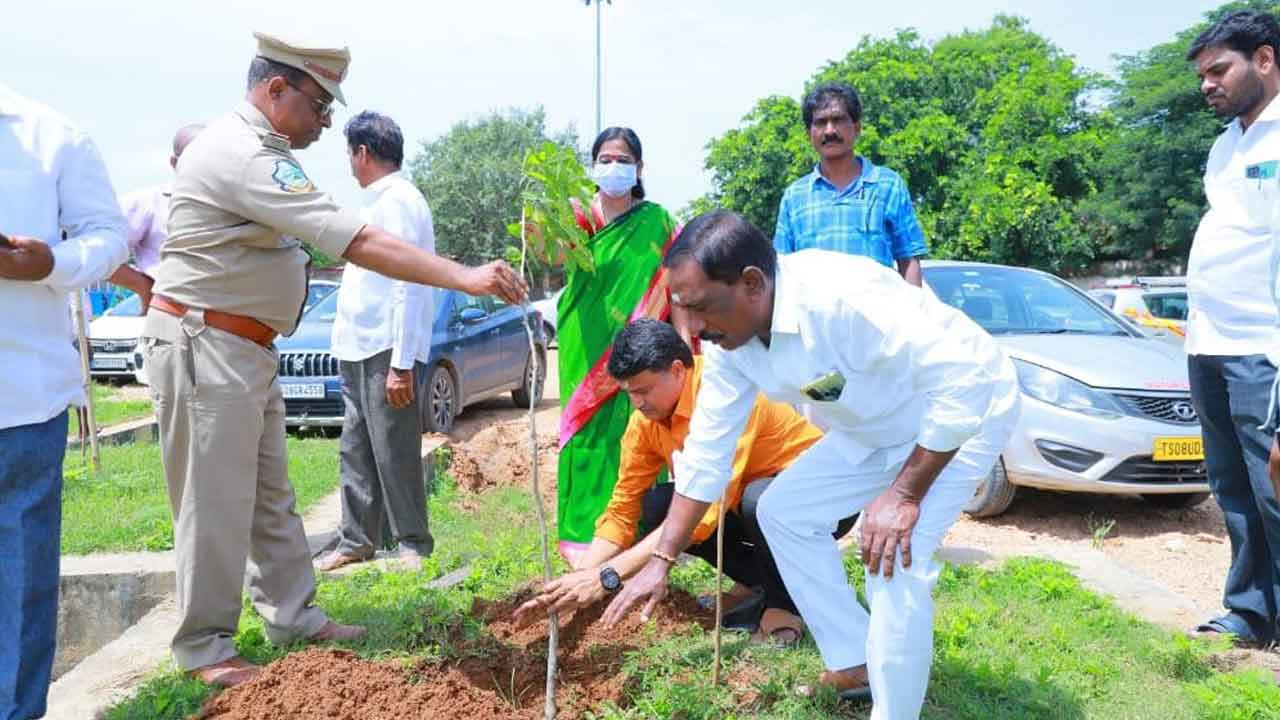 రాజన్న క్షేత్రంలో వృక్ష యజ్ఞం