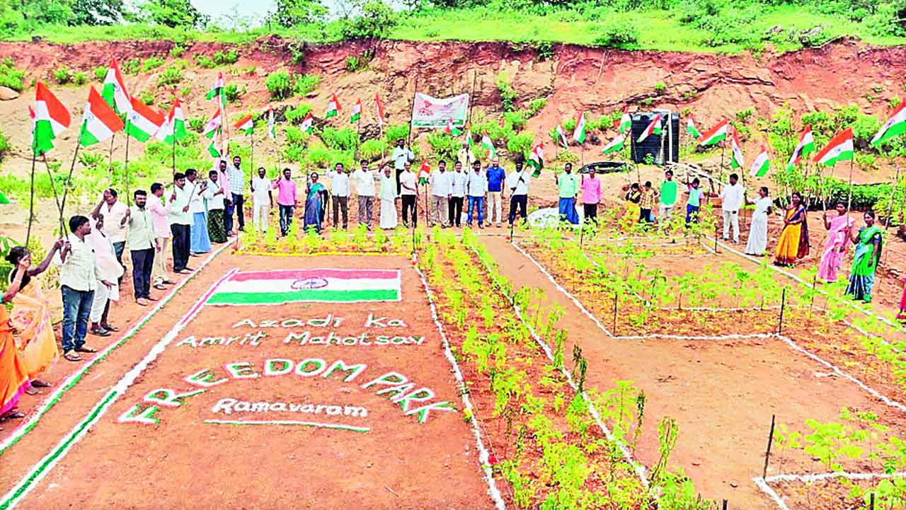 జనయిత్రికి వన హారతి