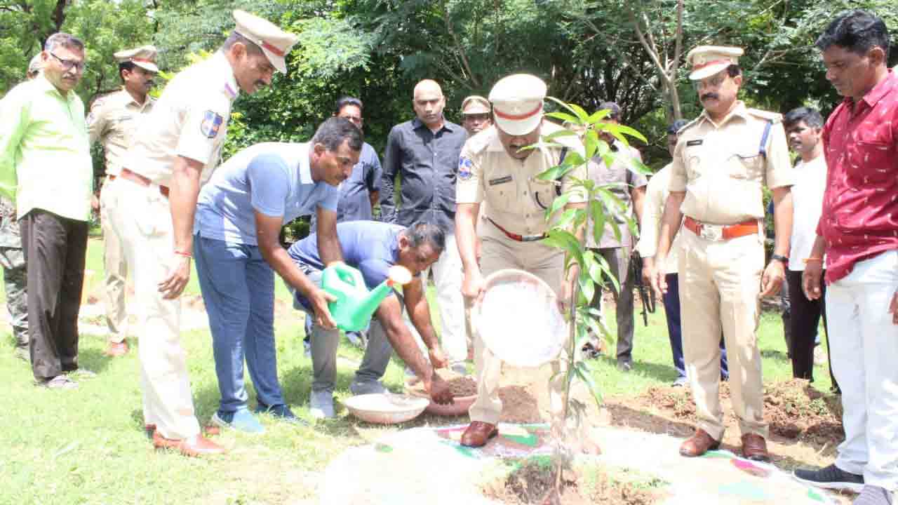 మొక్కలతోనే మానవ మనుగడ