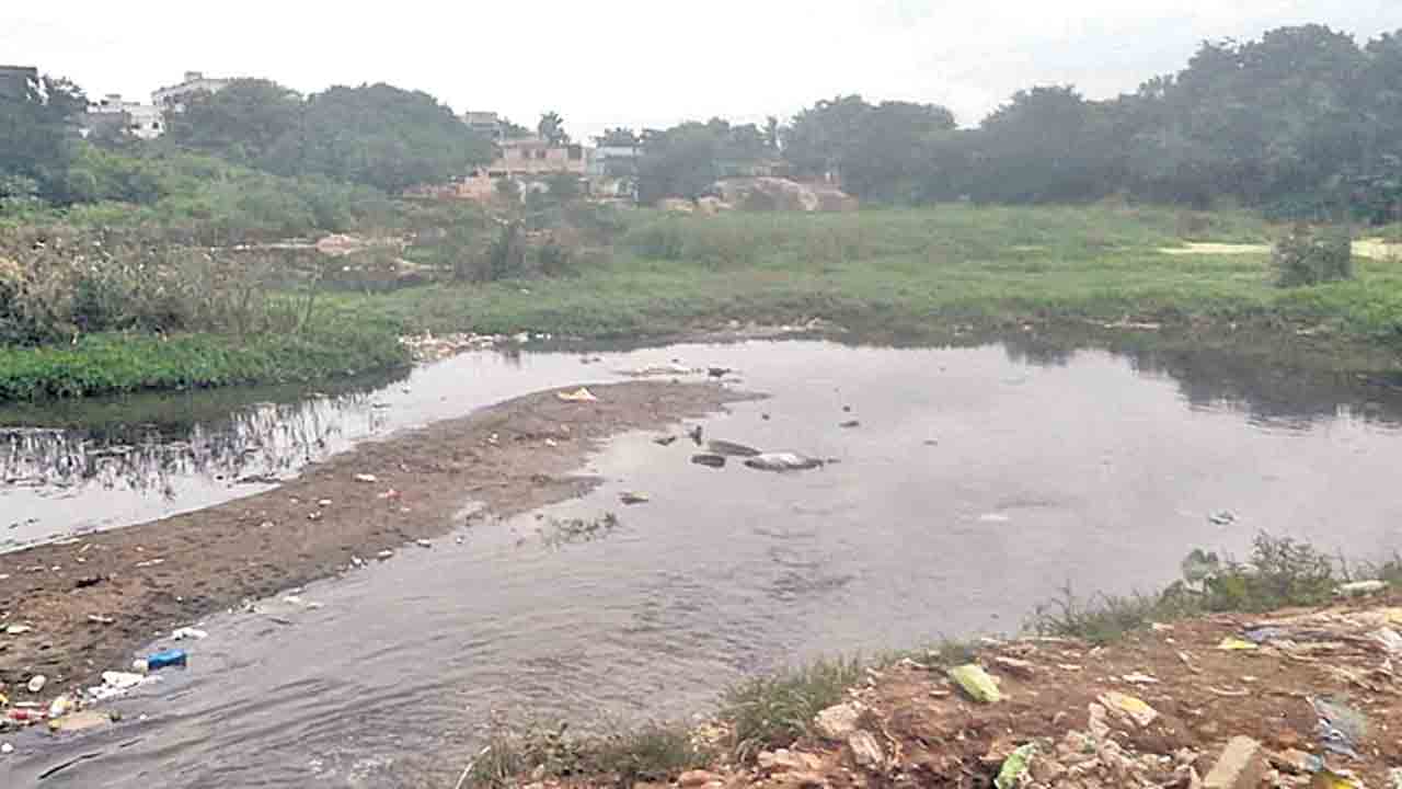 బోర్డు పట్టించుకోదు ‘సిక్కం’ బాగుపడదు