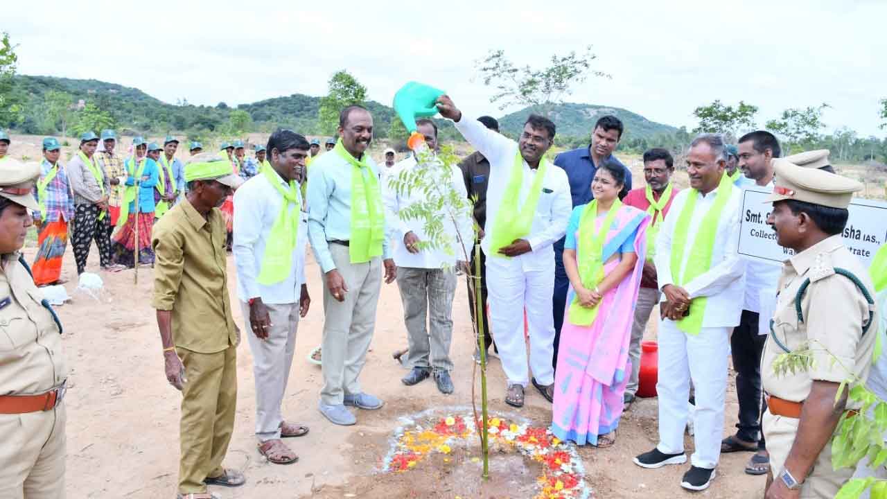 పల్లె, పట్టణాలను పచ్చని పందిళ్లుగా మార్చాలి