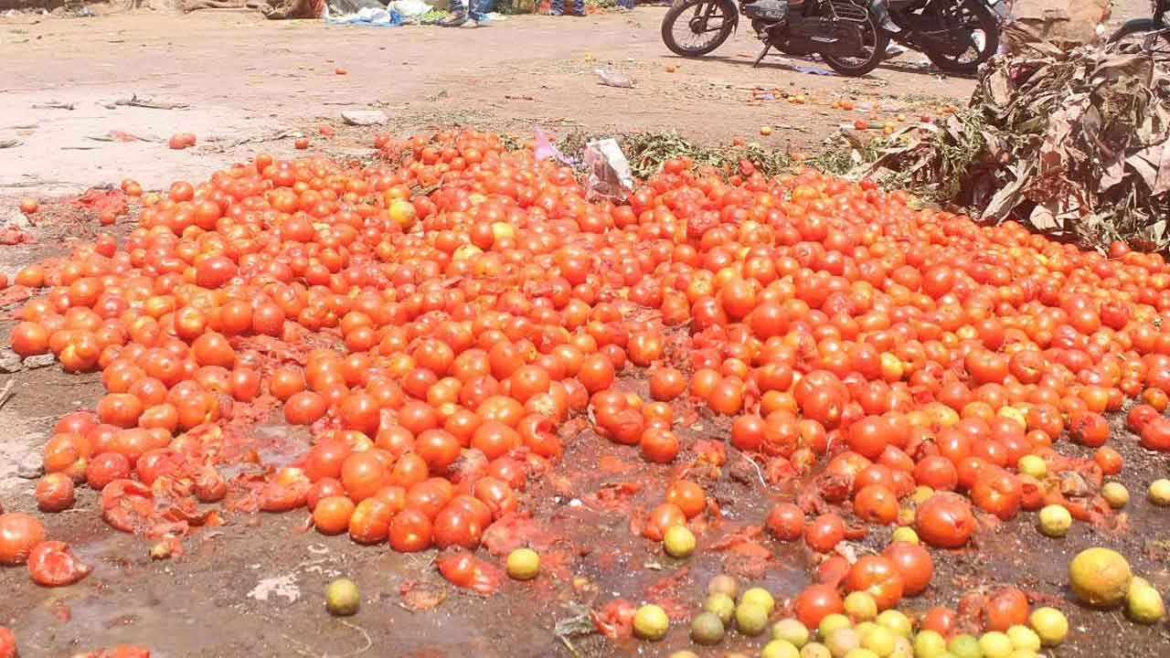 అనంతపురం జిల్లాలో టమోట రైతుల నిరసన