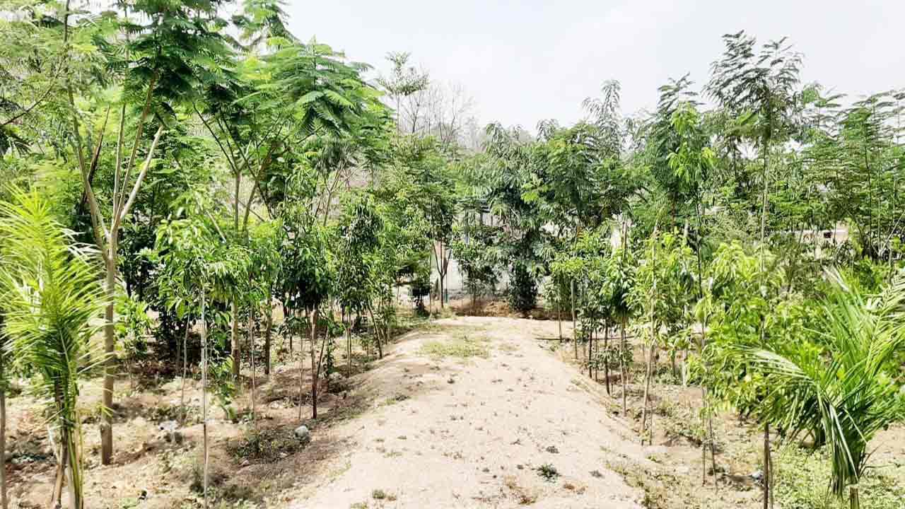 పల్లెలకు కొత్త శోభ