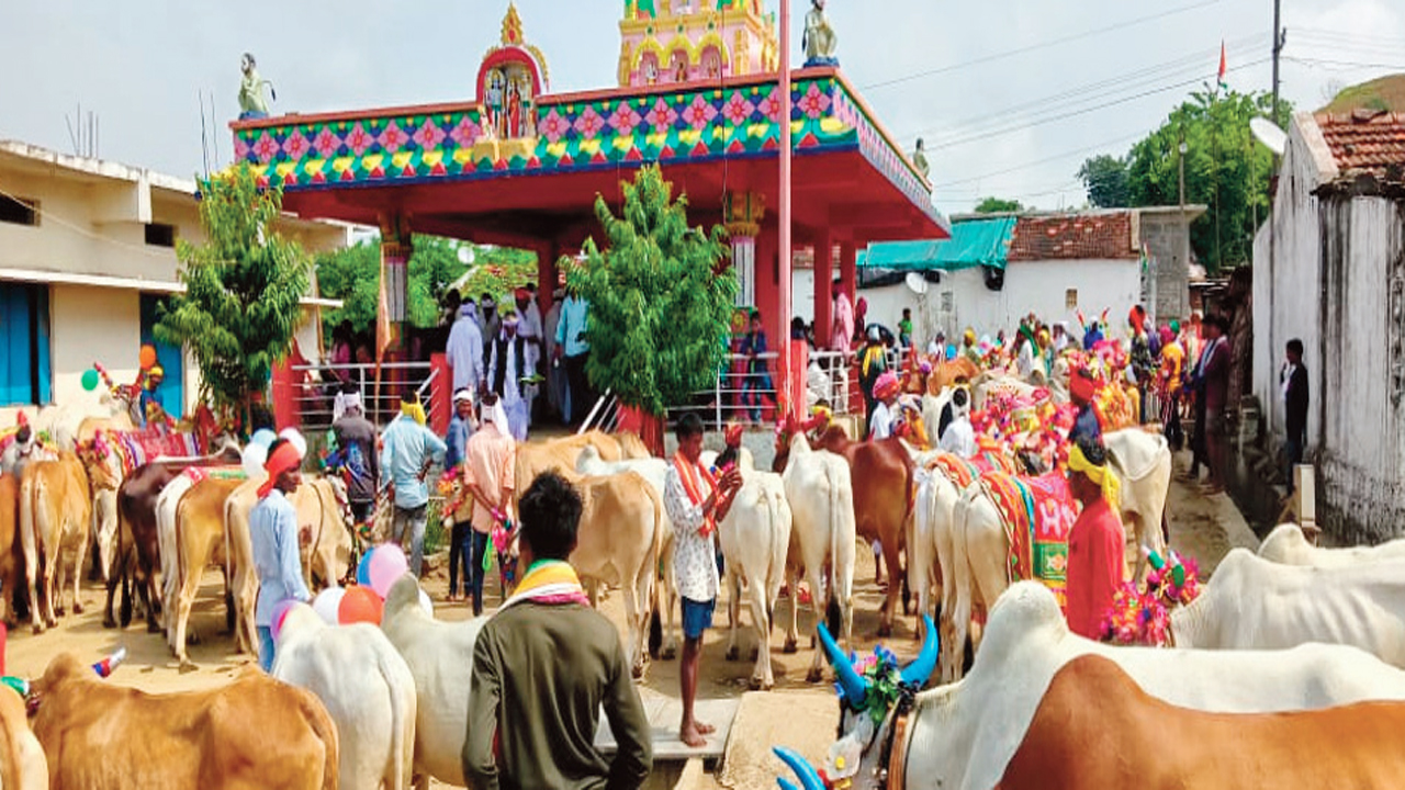 ఊరూరా.. పొలాల అమావాస్య