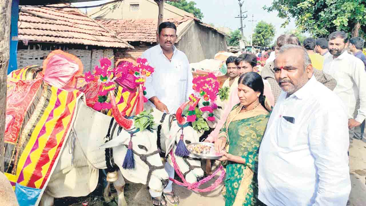 పల్లెకు పండుగొచ్చె..