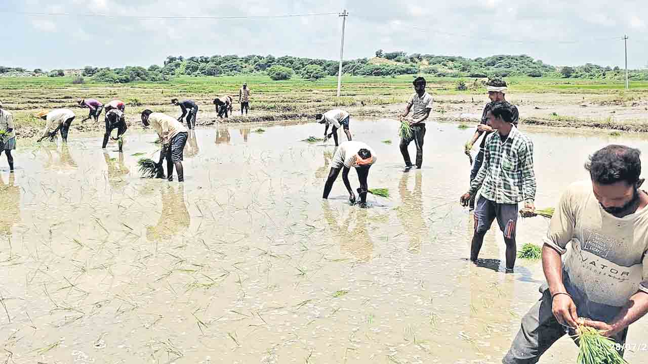 పొరుగుకు ఆశాదీపం