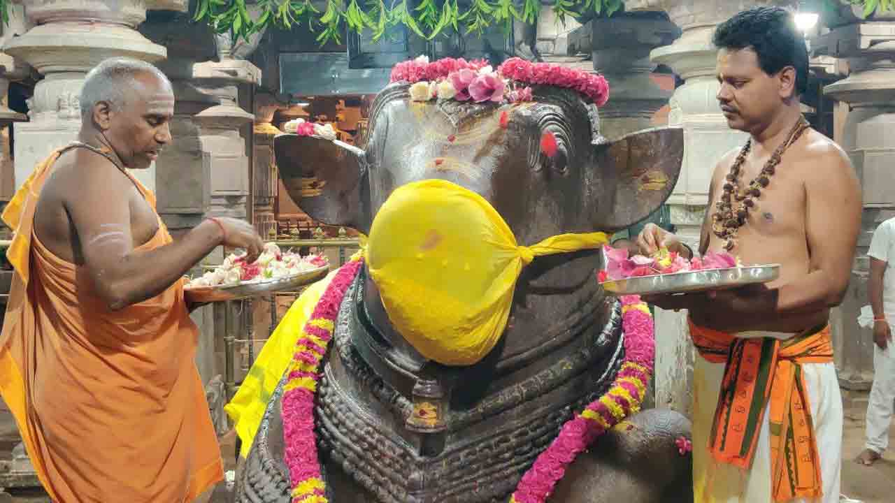 శ్రీశైలంలో పరివార దేవతలకు ప్రత్యేక పూజలు