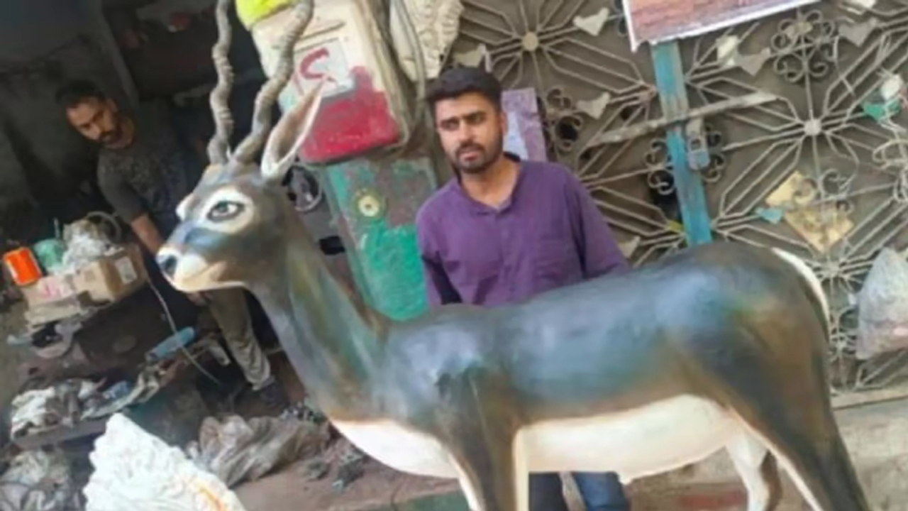 సల్మాన్‌ఖాన్‌ చంపిన కృష్ణ జింకకు స్మారకం..! ఆ స్థలంలోనే నిర్మాణం..!