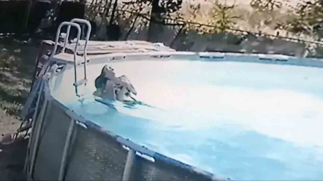 Viral Video | మ‌హిళ‌కు స్విమ్మింగ్ పూల్‌లో ఫిట్స్‌.. మునిగిపోతుండ‌గా కాపాడిన ప‌దేండ్ల‌ కొడుకు