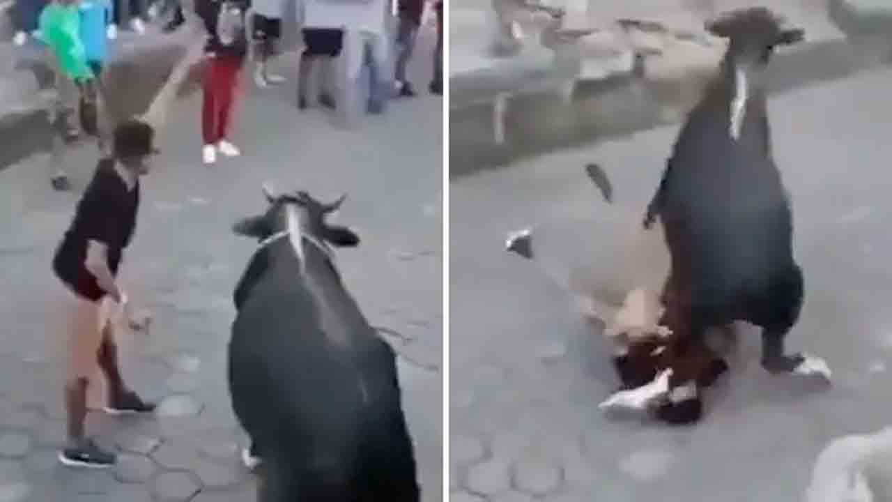 Bull Attack | ఎద్దుతో ఆడుకోబోయాడు.. కుమ్మి పడేసింది.. వైరల్ అవుతున్న వీడియో!