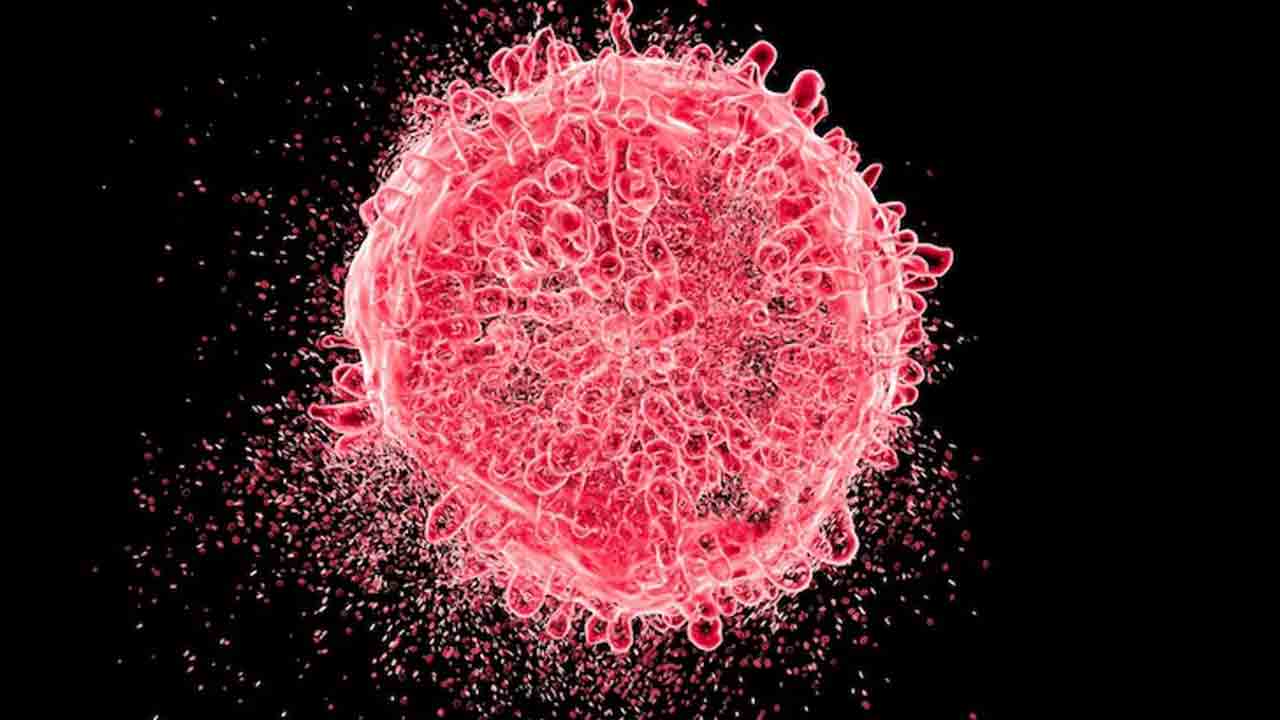 ముందే క్యాన్సర్‌ గుట్టు రట్టు