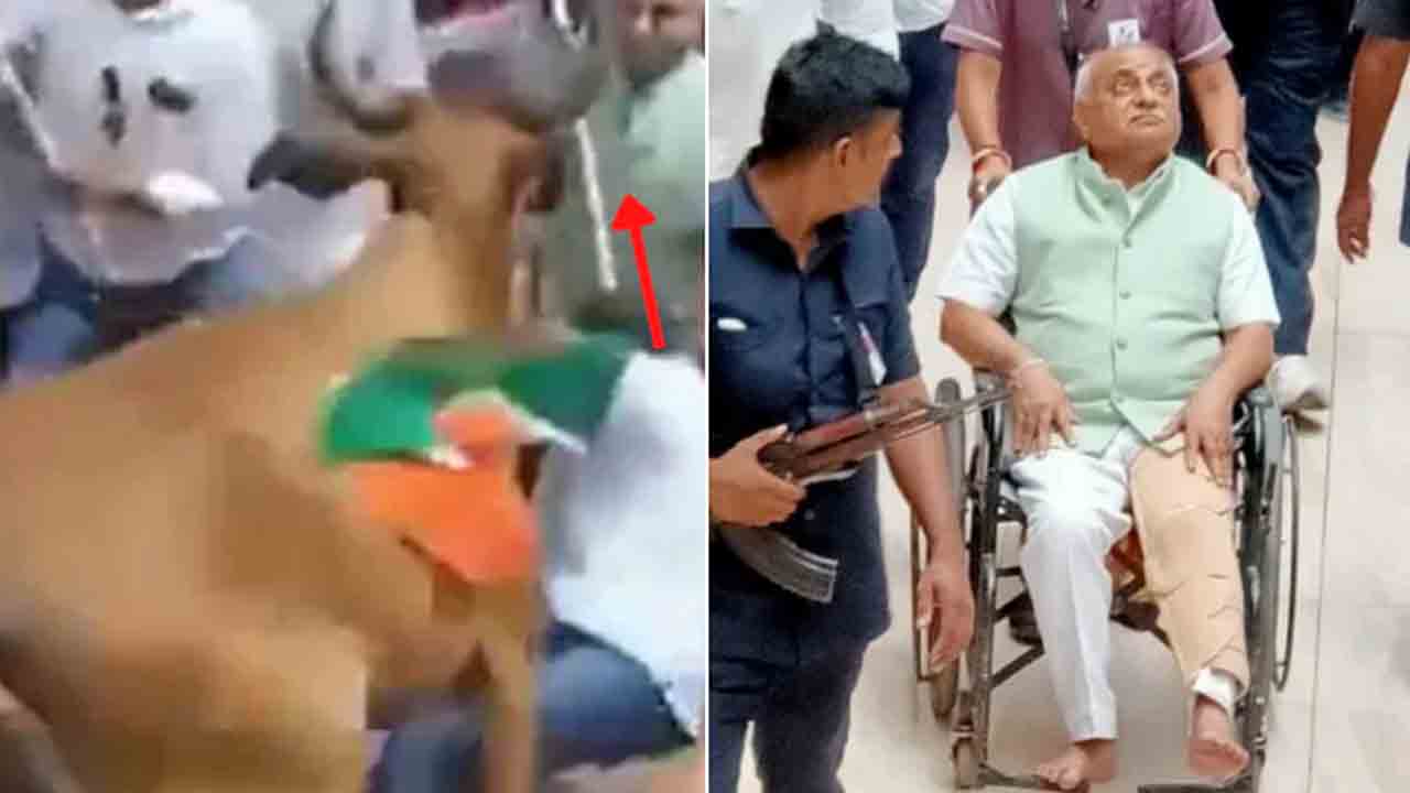 Watch: బీజేపీ ర్యాలీలో అపశృతి… ఆవు దాడిలో మాజీ డిప్యూటీ సీఎంకు గాయం