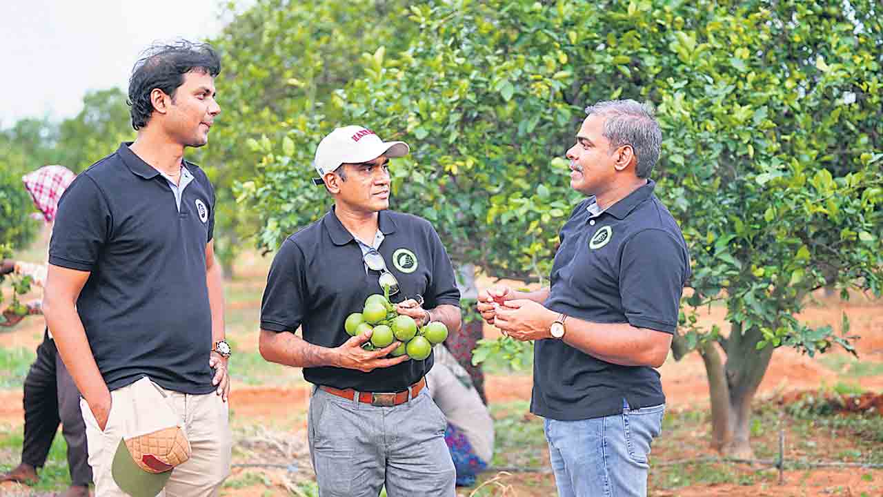 పంట దవాఖాన!