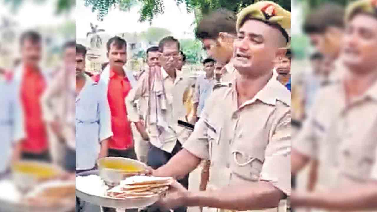 కుక్కలూ తినలేవు