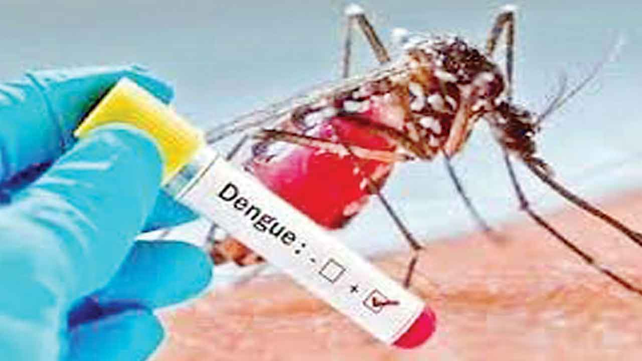 ఢిల్లీలో విజృంభిస్తున్న డెంగ్యూ… వెయ్యికి చేరువలో కేసుల సంఖ్య