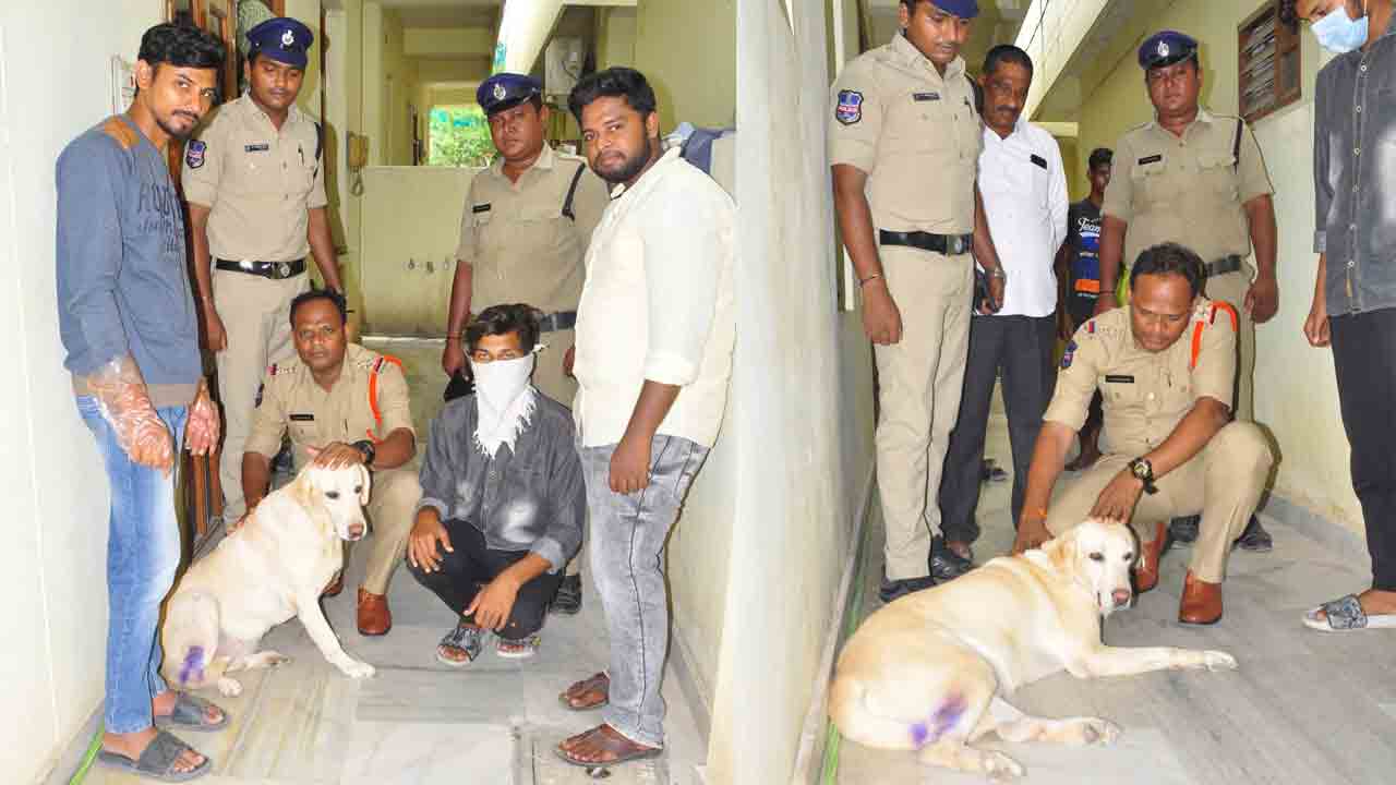 కుక్కను హింసిస్తున్న యజమాని.. ఎంపీ వరకు వెళ్లడంతో.. కౌన్సెలింగ్ ఇచ్చిన పోలీసులు