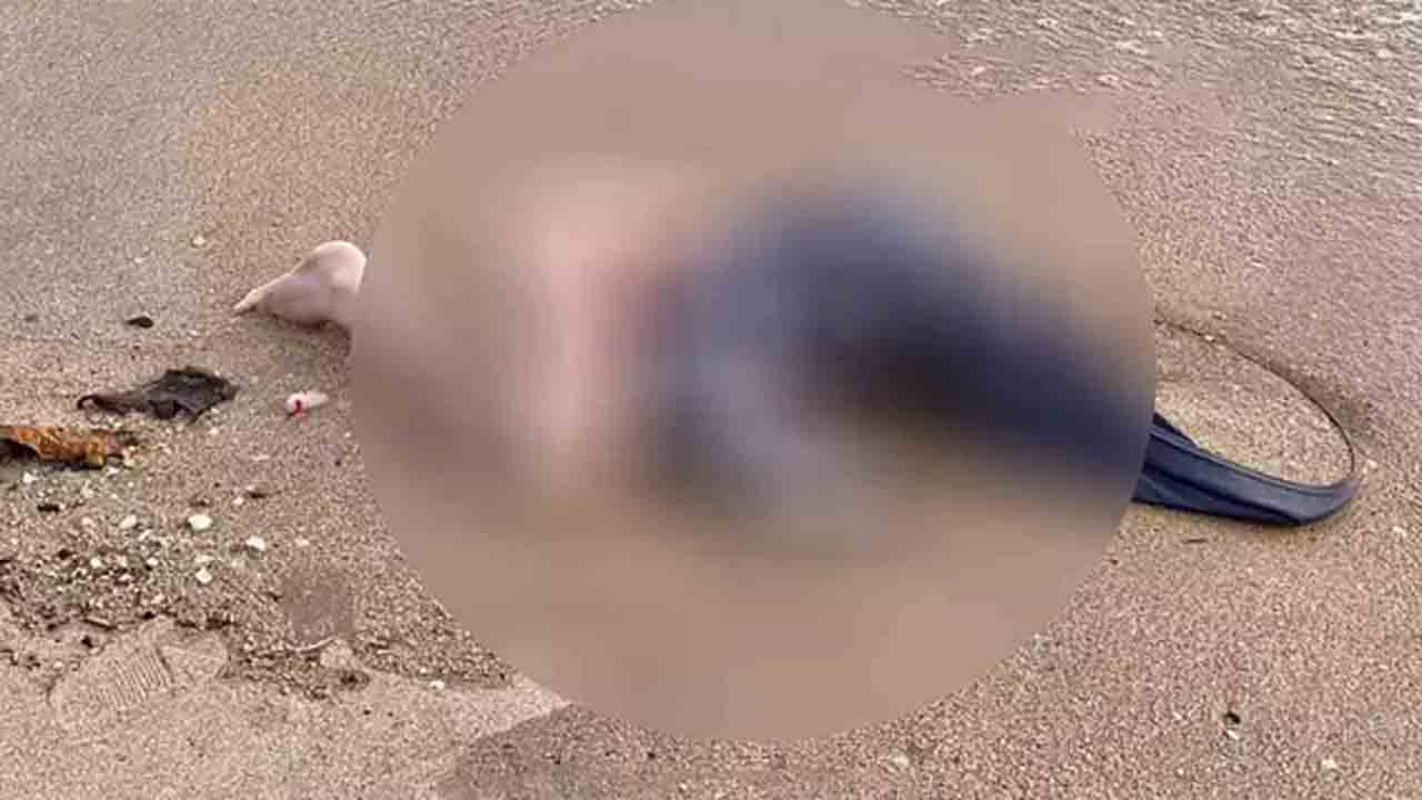 బీచ్‌లో మహిళ మృతదేహాం ఉన్నట్లు పోలీసులకు ఫోన్‌… చివరకు సెక్స్ డాల్‌గా గుర్తింపు