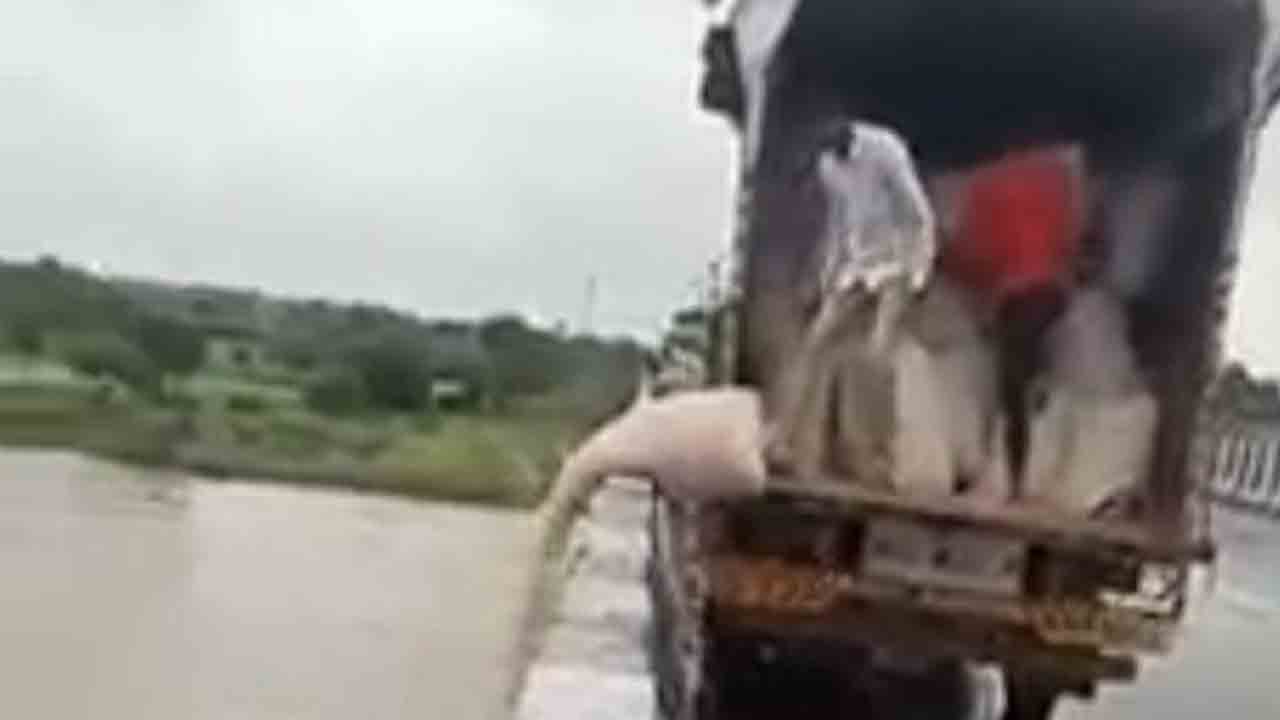 రైతుకంట.. వెల్లుల్లి మంట