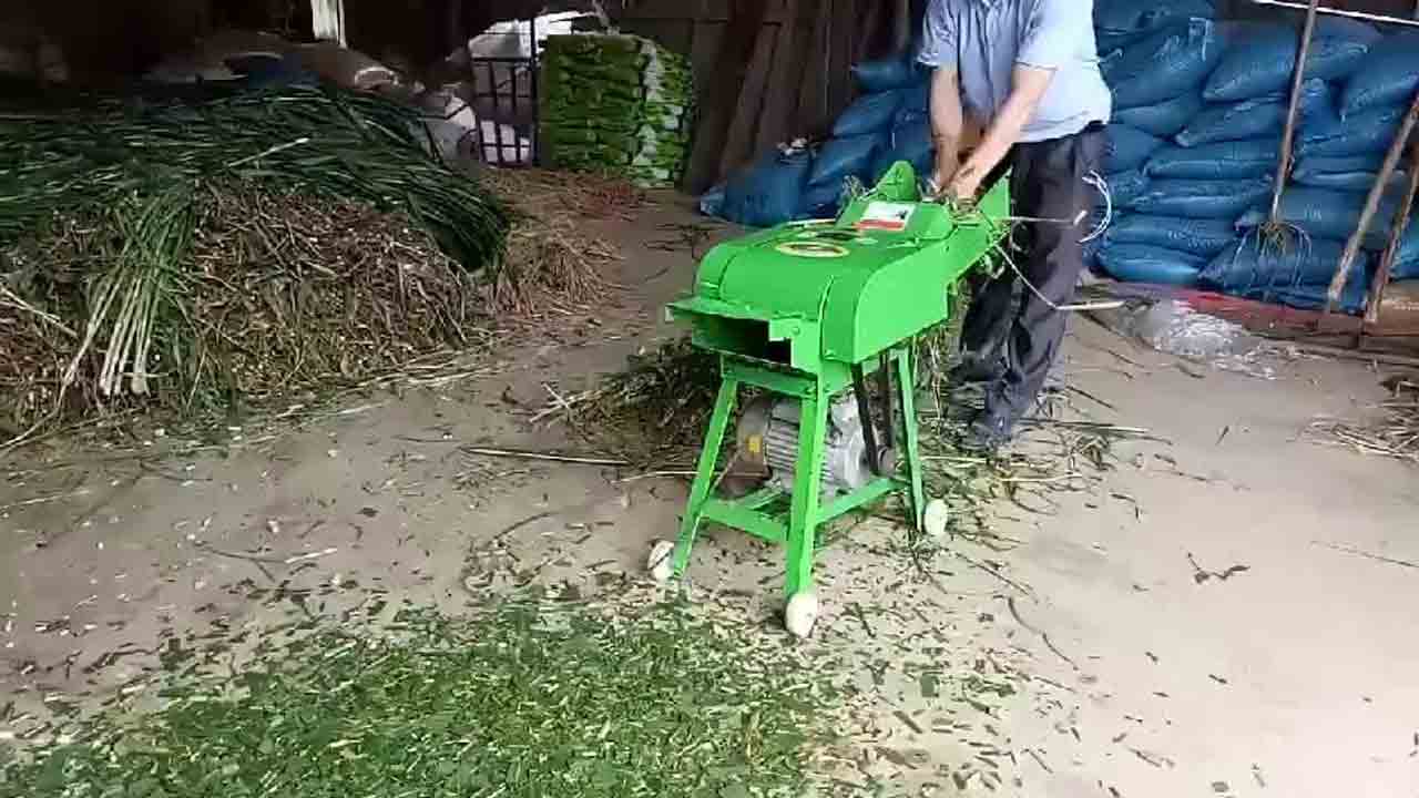 కత్తిరించి మేపితేనే..