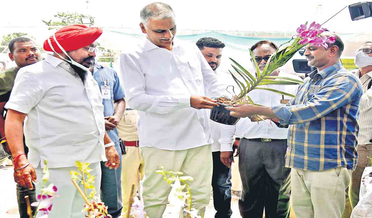 సాగర తీరం..ప్రకృతి సోయగం