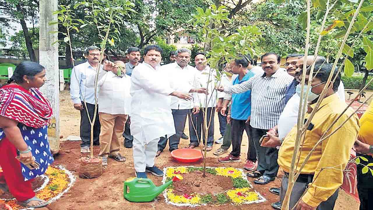మొక్కలు నాటి సంరక్షించాలి