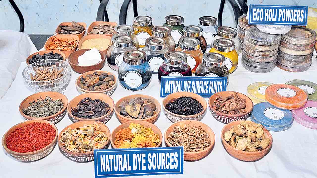 మట్టి వినాయకులు.. సహజ రంగులు