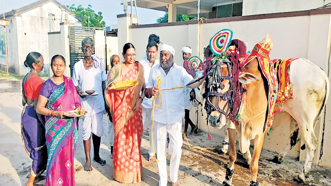 ఘనంగా పొలాల అమావాస్య