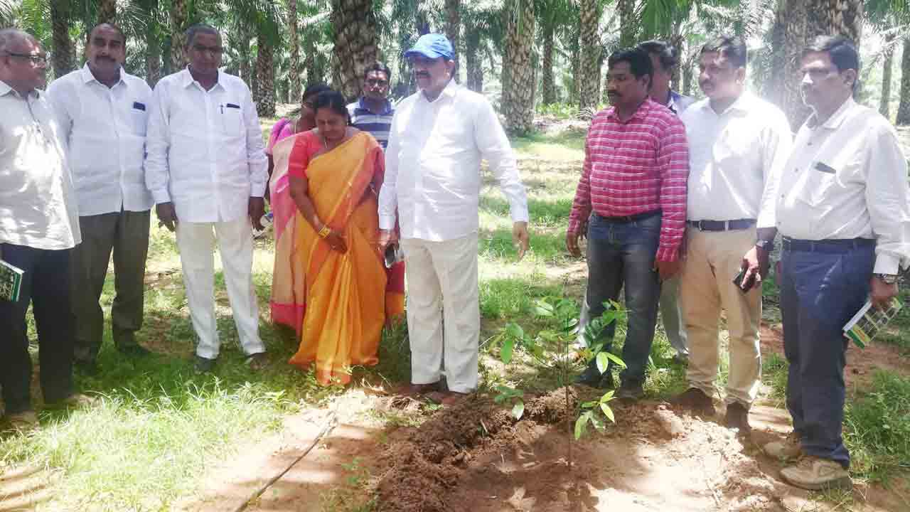 దమ్మపేట ఏజెన్సీ ప్రాంతం..అంతరకు అనుకూలం..