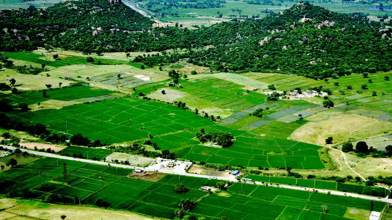 బేహారులకు బేజిల్లదు తెలంగాణ