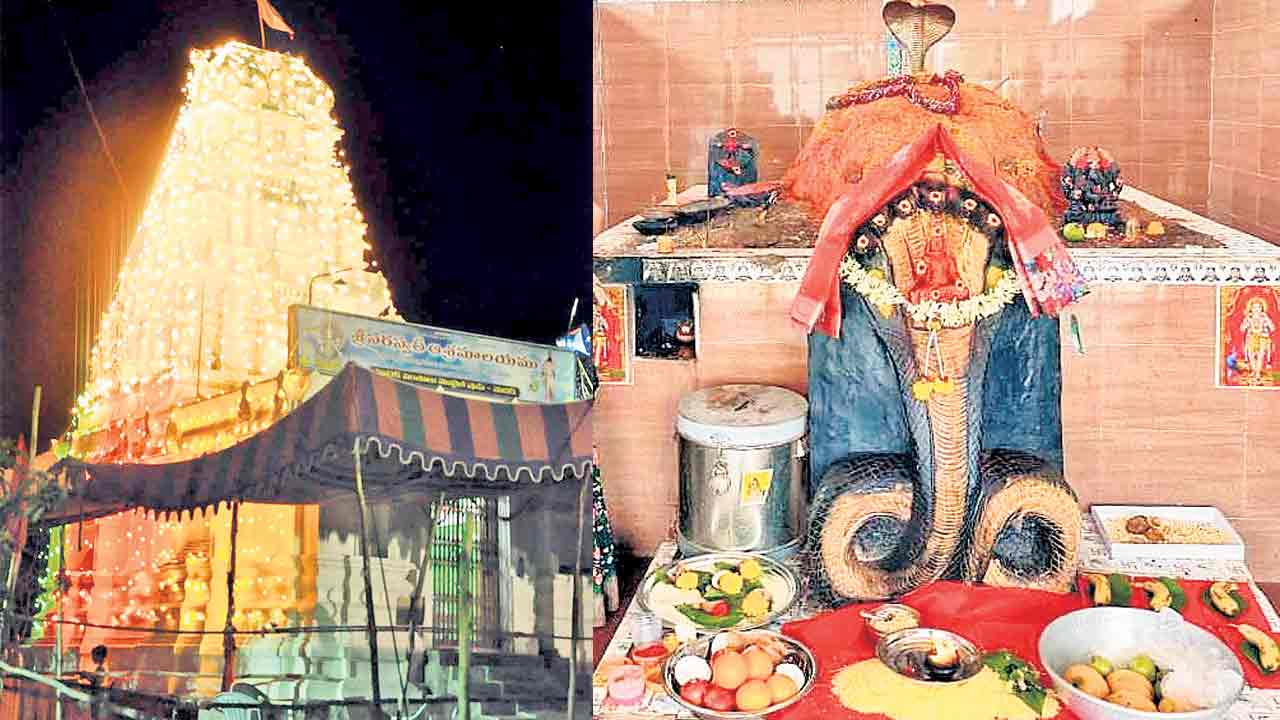 నేడే నాగుల పంచమి