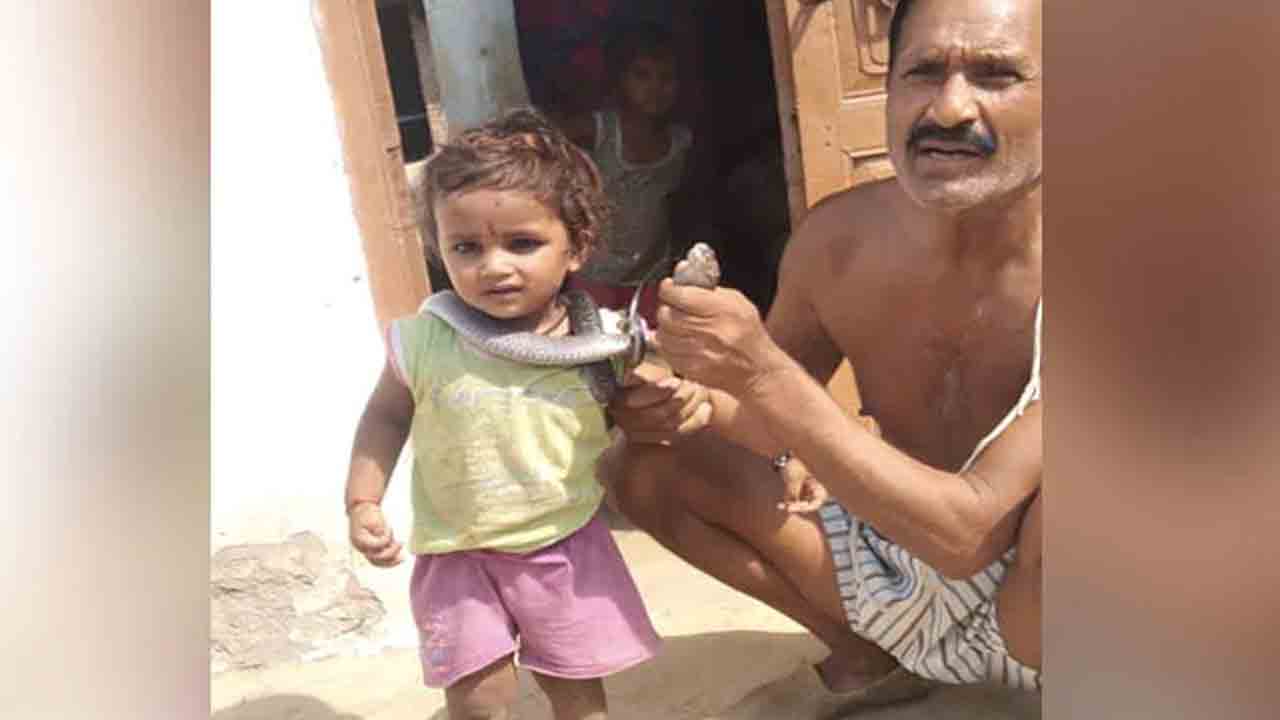 పామును పట్టుకున్నాడు… జనానికి చూపిస్తుండగా కాటేయడంతో చనిపోయాడు