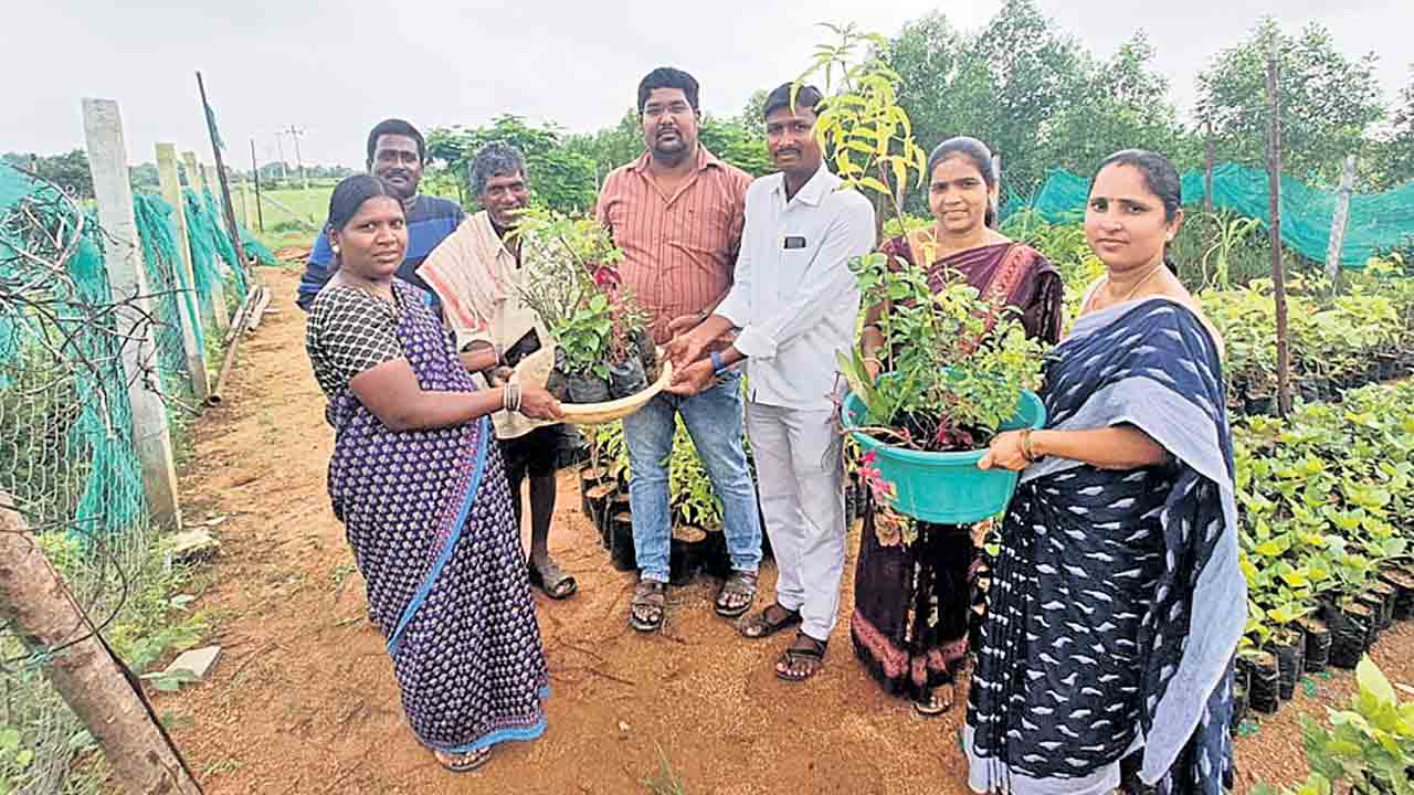 ఇంటి ఎదుట మొక్కలు నాటాలి