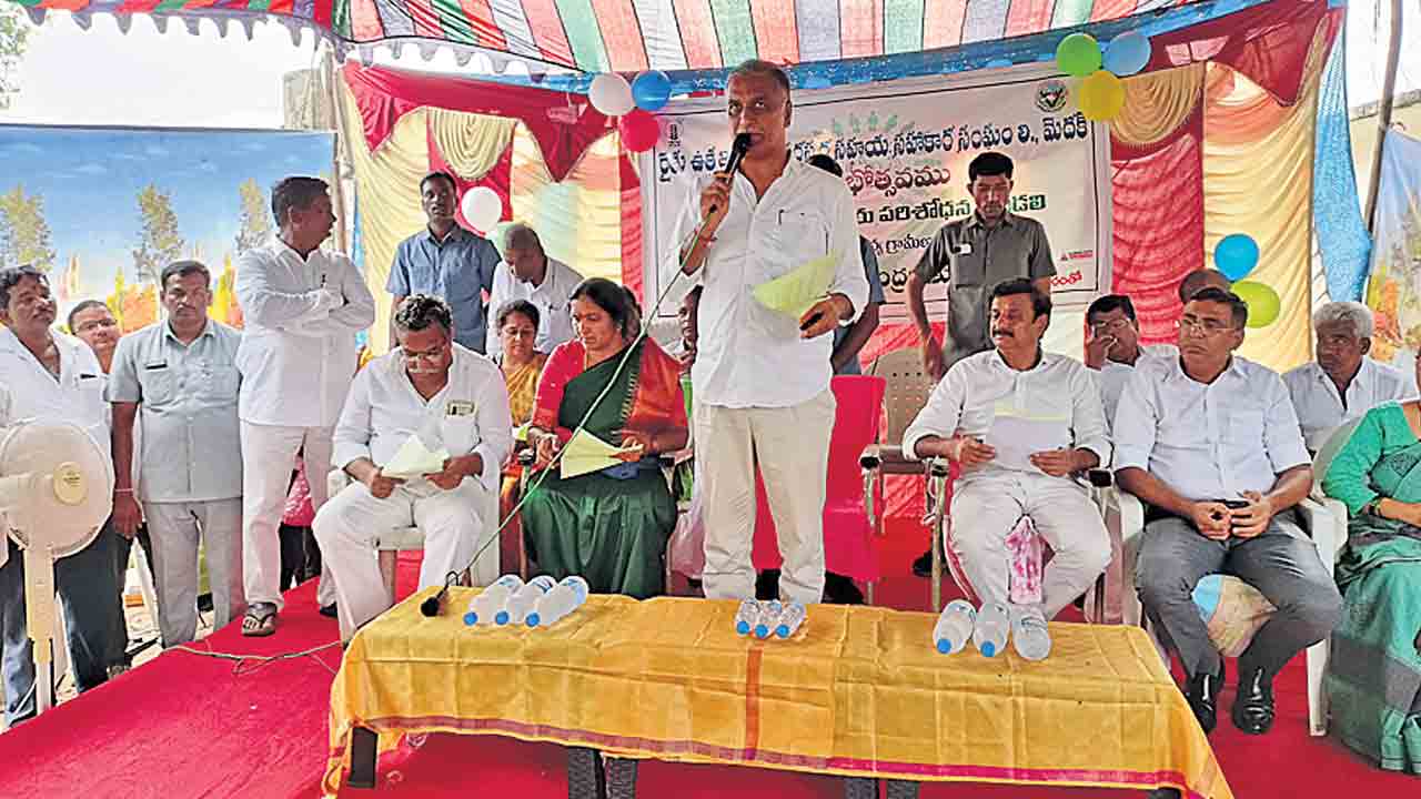 పామాయిల్‌ సాగుకు ‘మెదక్‌’ అనుకూలం